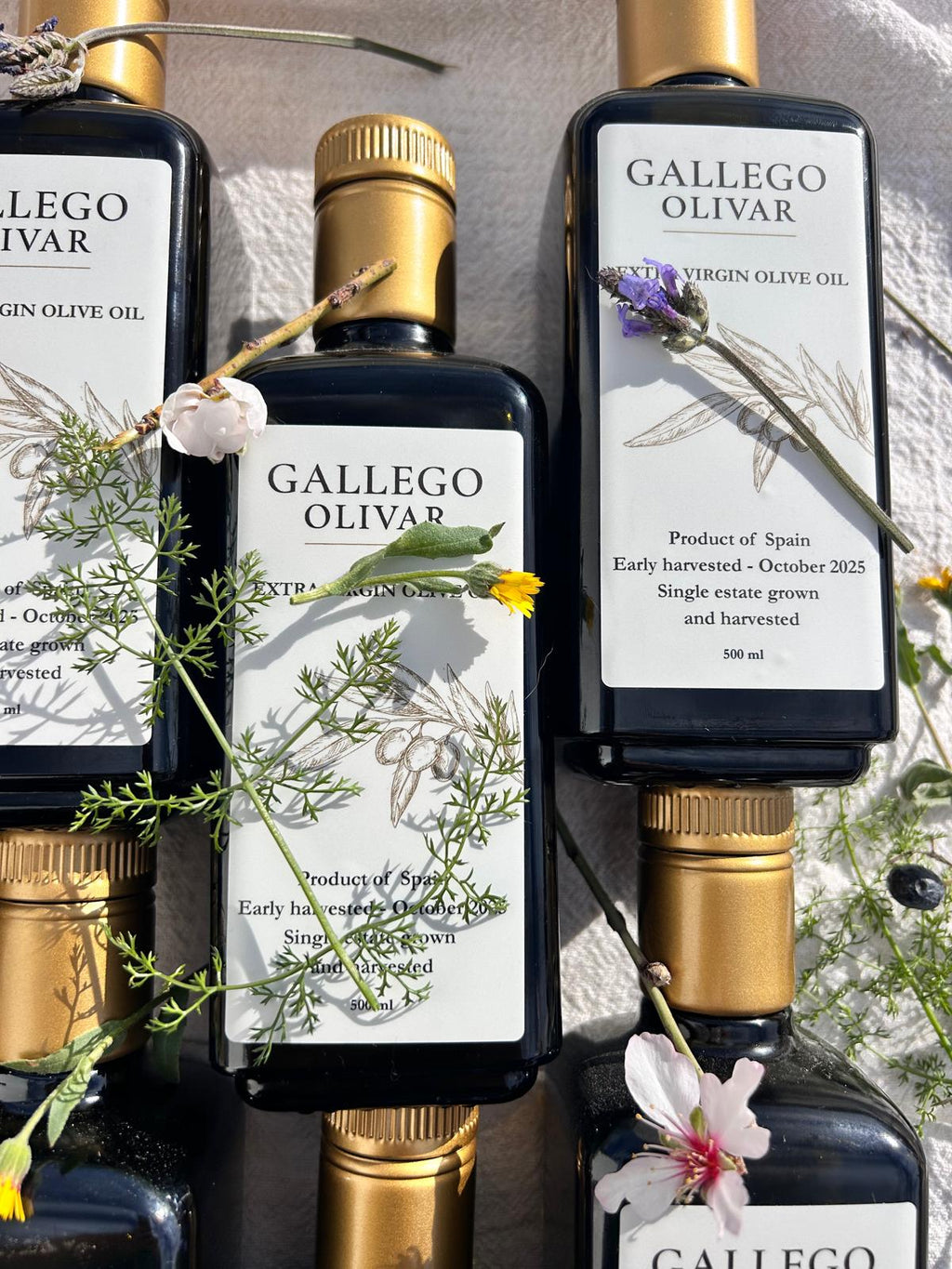 12 maanden pakket EVOO