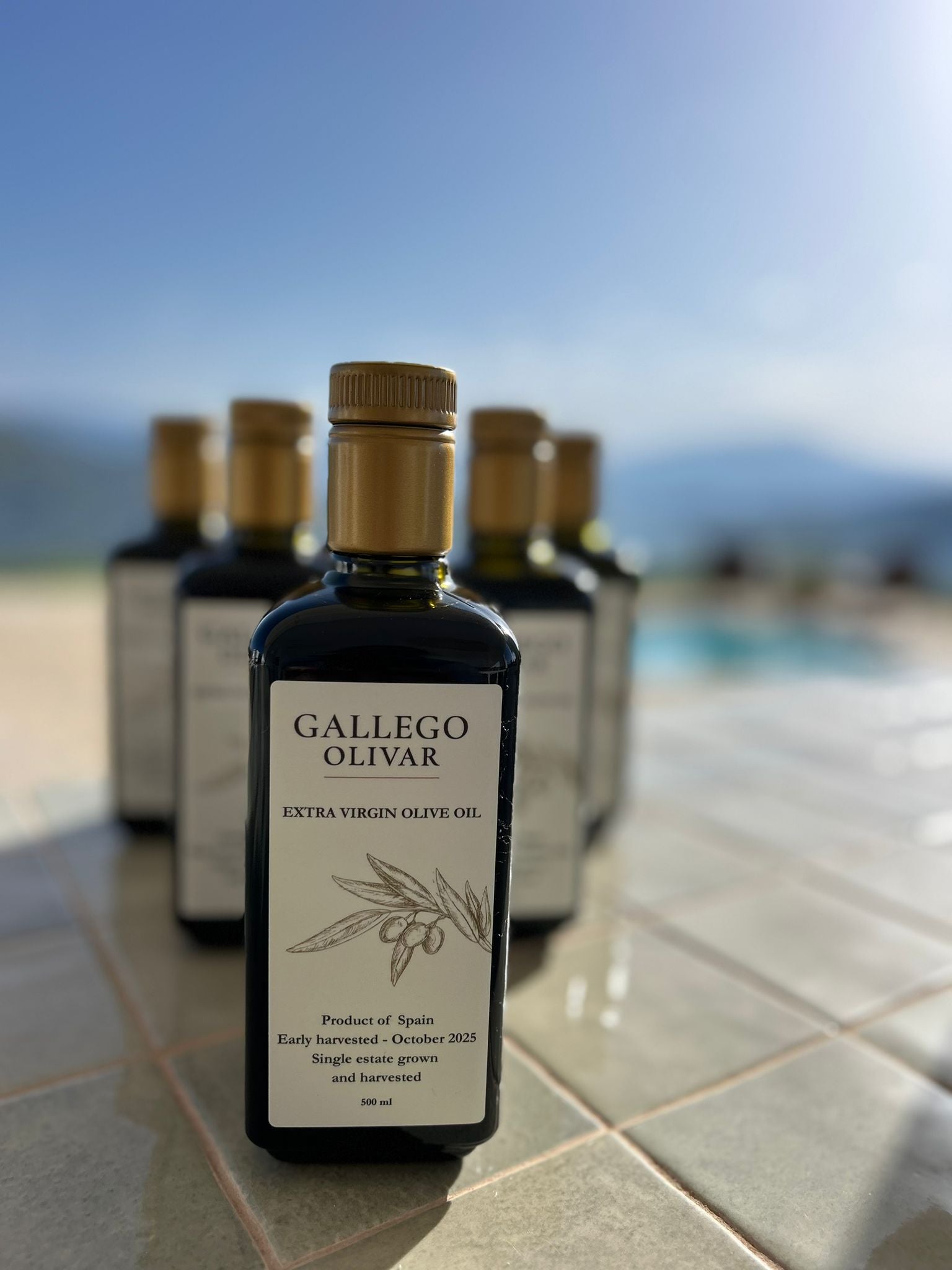 Moederdag 6-Pack (EVOO): 6x 500ml