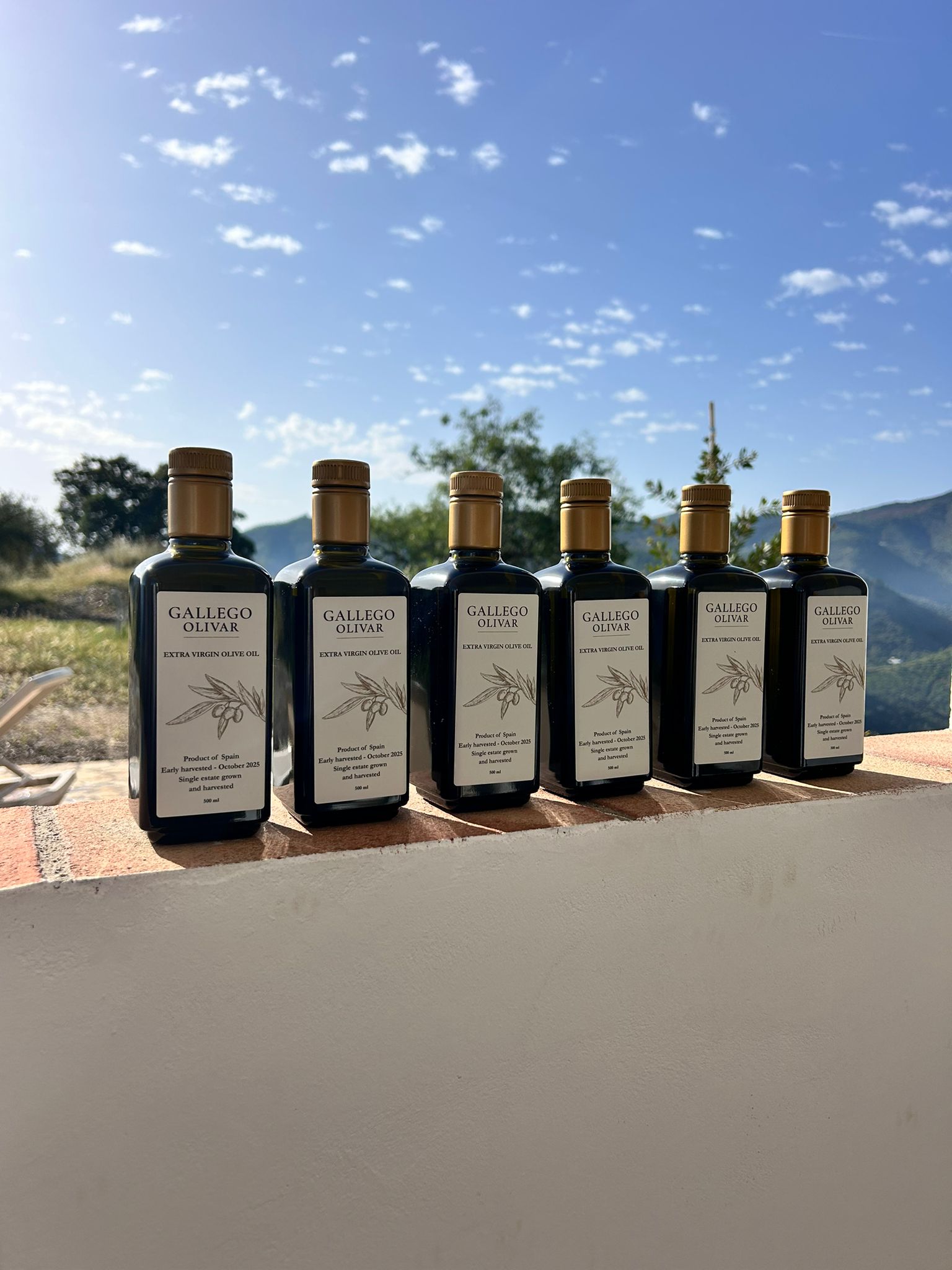 Moederdag 6-Pack (EVOO): 6x 500ml
