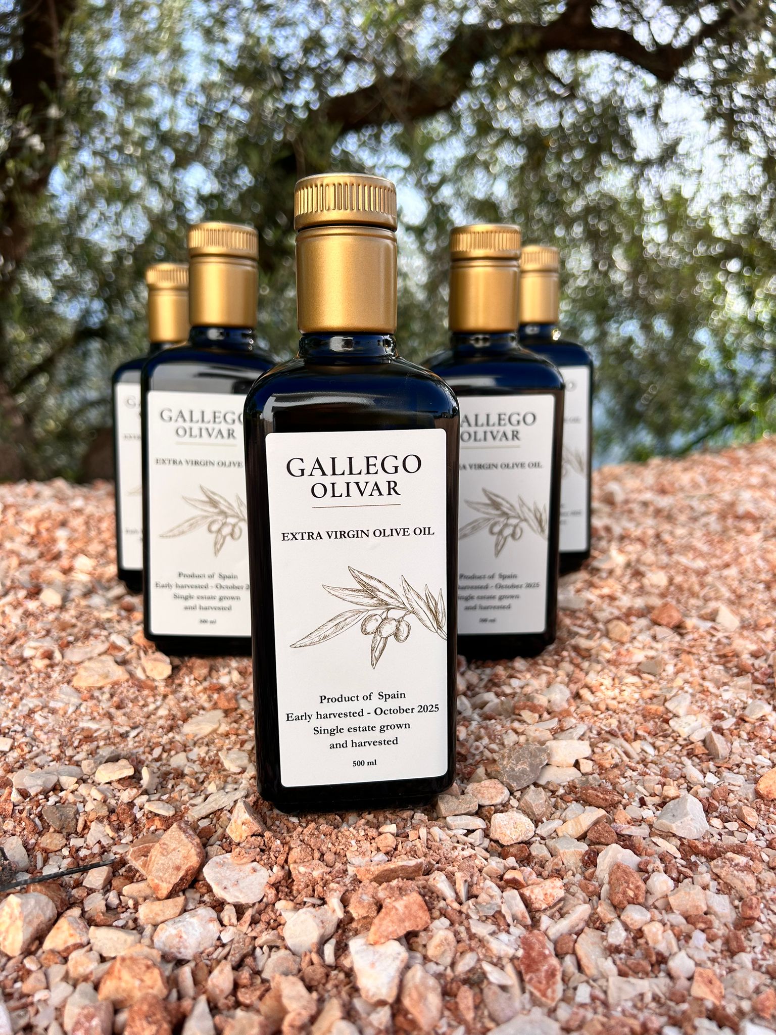 Moederdag 6-Pack (EVOO): 6x 500ml