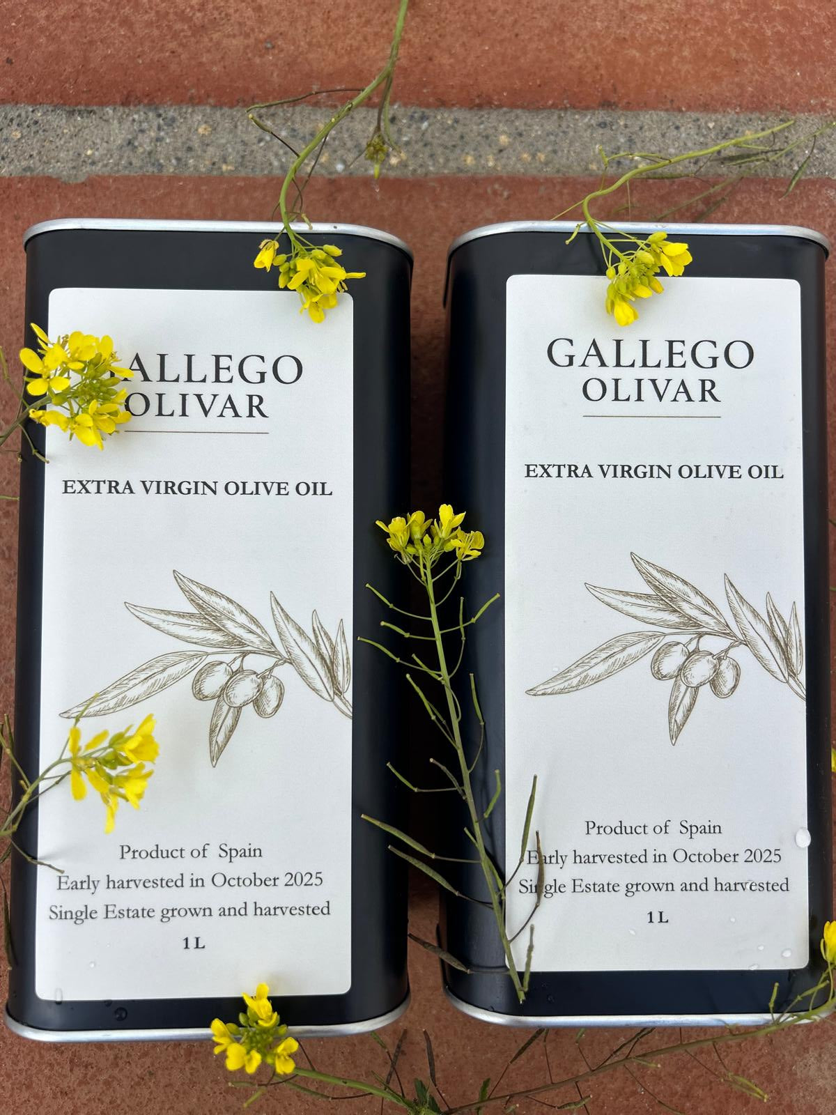 Favoriete seizoen actie: 2x 1000ml